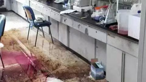 搜料資訊