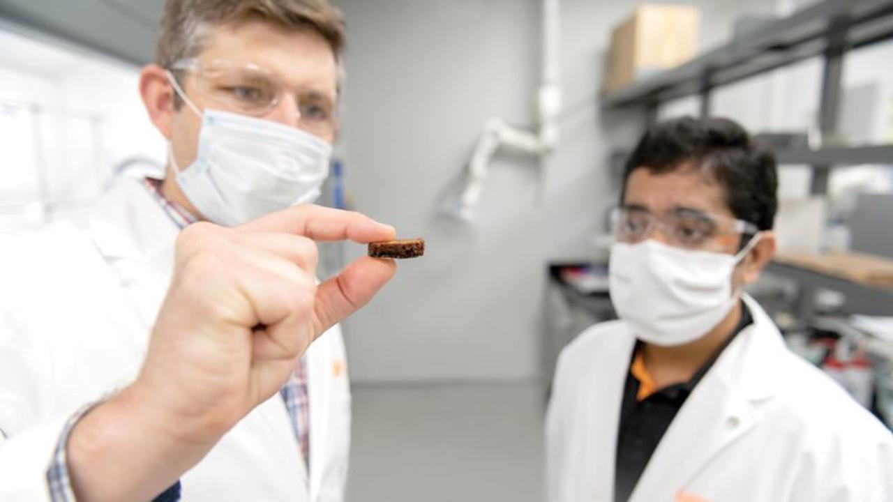 克萊姆森大學(xué)研究人員因生物基聚氨酯泡沫而獲獎(jiǎng)