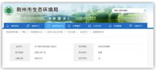 華魯恒升新建化工項目