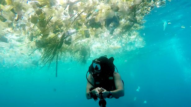 英男子潛水記錄巴厘島海洋污染 塑料垃圾觸目驚心